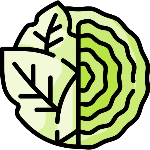 Cabbage icon