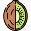 Kiwi icon 64x64