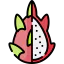 Dragon fruit icon 64x64