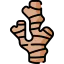 Ginger icon 64x64