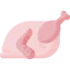Chicken icon 64x64