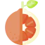 Orange icon 64x64
