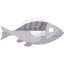 Fish icon 64x64