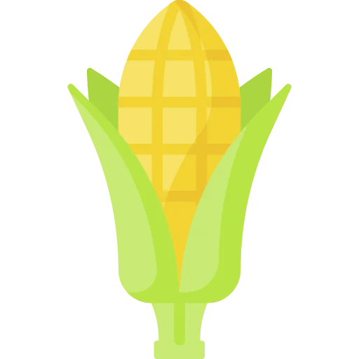 Corn icon