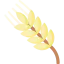 Wheat icon 64x64