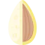 Almond icon 64x64
