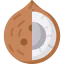 Coconut icon 64x64