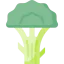 Broccoli icon 64x64
