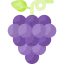 Grape icon 64x64