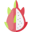 Dragon fruit icône 64x64