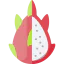 Dragon fruit icon 64x64