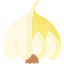 Garlic icon 64x64