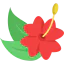 Flower 图标 64x64