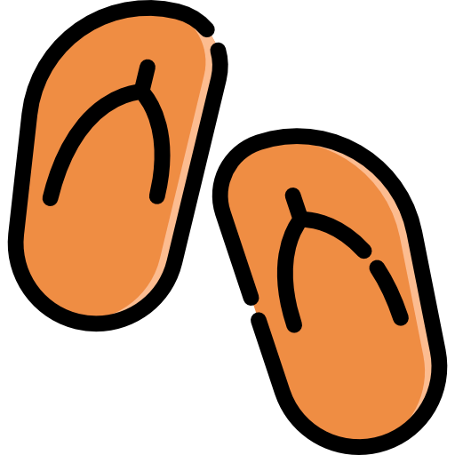 Flip flops icon