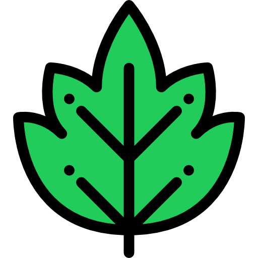 Leaf icon
