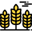 Wheat アイコン 64x64
