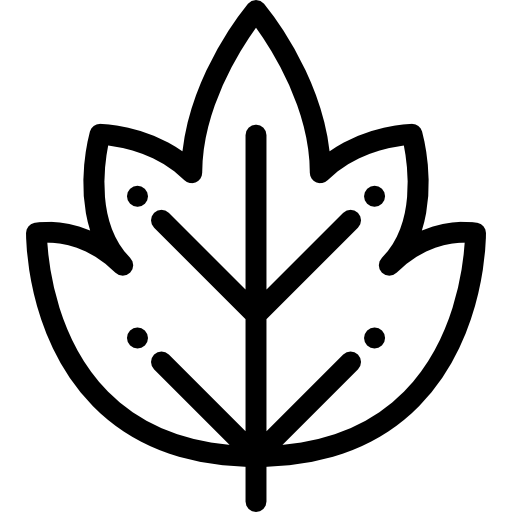 Leaf icon