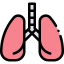 Lungs icon 64x64