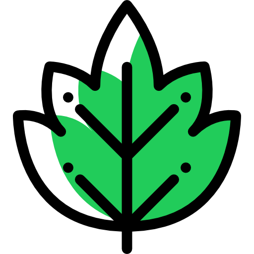 Leaf icon
