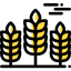 Wheat icon 64x64