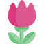 Macro ícono 64x64