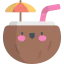 Coconut icon 64x64