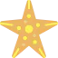 Starfish 图标 64x64