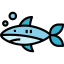 Shark 图标 64x64