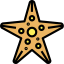 Starfish 图标 64x64