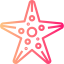 Starfish 图标 64x64