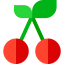 Cherry icon 64x64