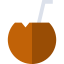 Coconut icon 64x64