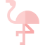 Flamingo icon 64x64