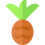 Pineapple icon 64x64