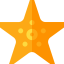 Starfish icon 64x64
