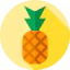 Pineapple Ikona 64x64