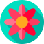 Flower 图标 64x64
