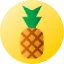 Pineapple 图标 64x64