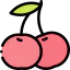 Cherry icon 64x64
