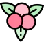 Berries Symbol 64x64