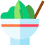 Salad icon 64x64