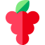 Grapes icon 64x64