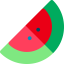 Watermelon icon 64x64