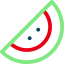 Watermelon icon 64x64
