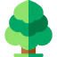Tree icon 64x64