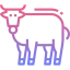 Cow icon 64x64