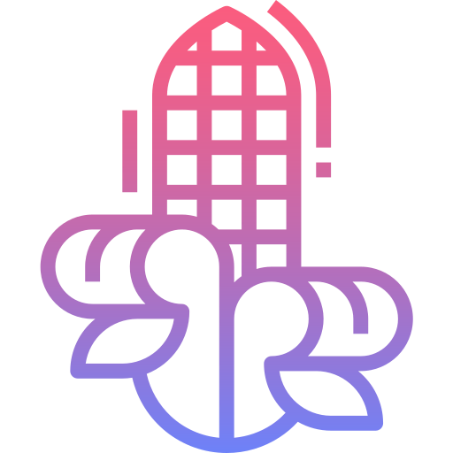 Corn icon