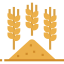 Wheat icon 64x64