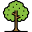Tree icon 64x64
