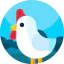 Chicken icon 64x64
